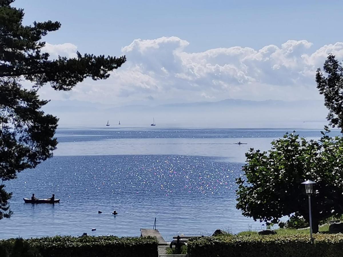 Gaestehaus Zum Landesteg Immenstaad am Bodensee Ngoại thất bức ảnh