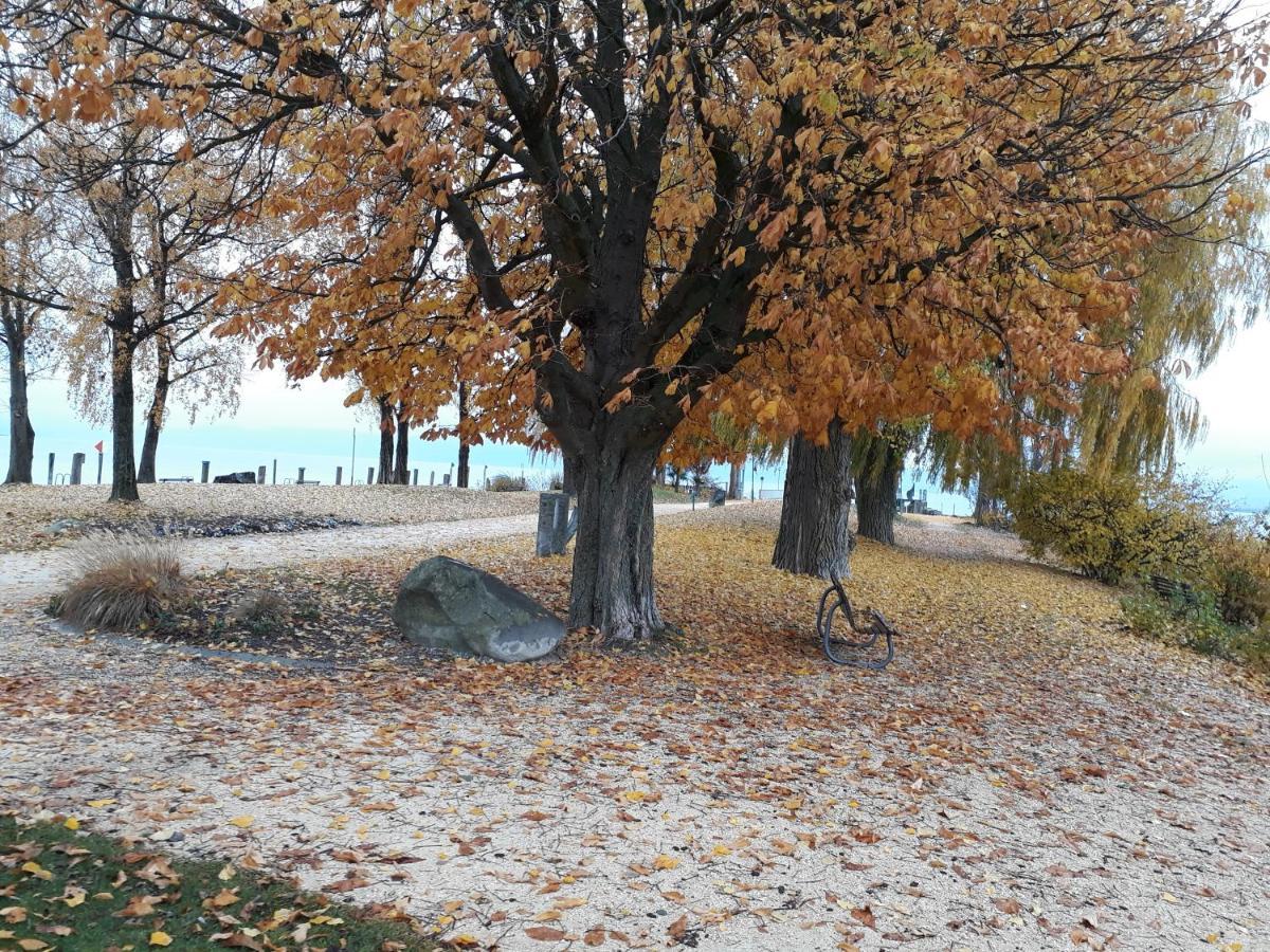 Gaestehaus Zum Landesteg Immenstaad am Bodensee Ngoại thất bức ảnh